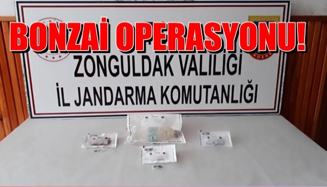 Bonzai operasyonu