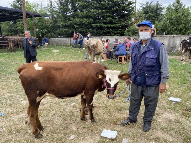 Korona, hayvan satıcılarını da etkiledi - 2