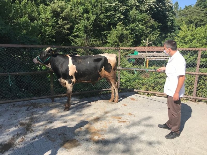 Kurban yakalama timi hazır - 7