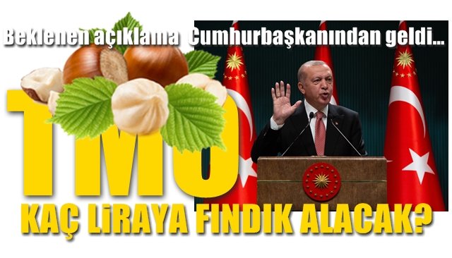 TMO KAÇ LİRAYA FINDIK ALACAK?