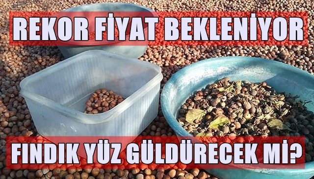 Türkoğlu: ´´Fındık fiyatı tarihi rekorunu kıracak´´