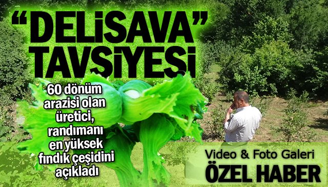 ÜRETİCİDEN “DELİSAVA” TAVSİYESİ