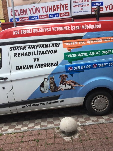 Yaralı güvercin için seferber oldular - 2