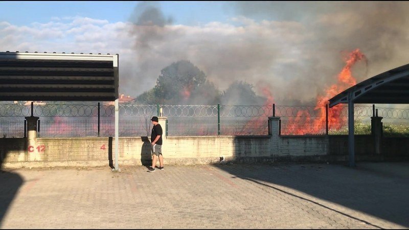 2 DÖNÜM FINDIKLIK YANDI! - 3