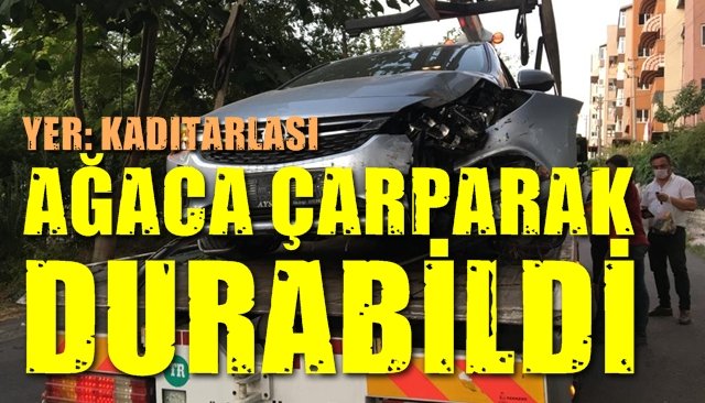 Ağaca çarparak durabildi…