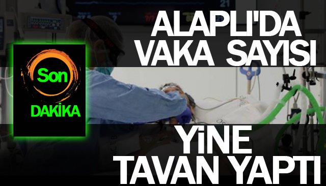 ALAPLI´DA VAKA SAYISI YİNE TAVAN YAPTI