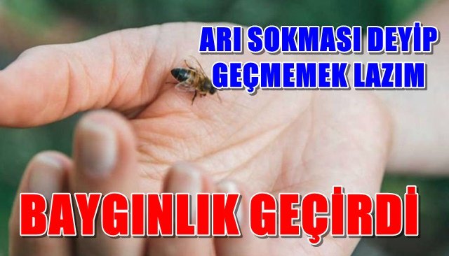 ARI SOKMASI DEYİP GEÇMEMEK LAZIM