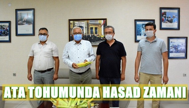 Ata Tohumu Projesi’nde mısır hasadı yapıldı