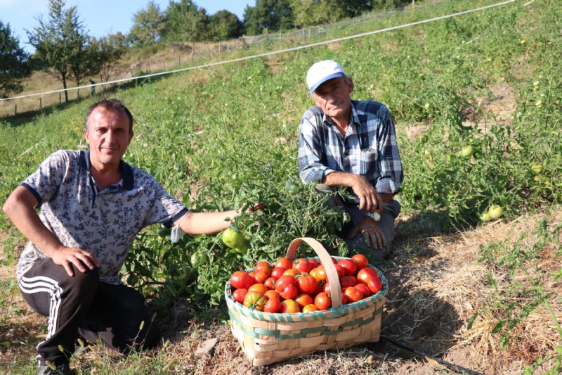 Burda olmaz denilen yerden, 20 ton ürün aldı - 3