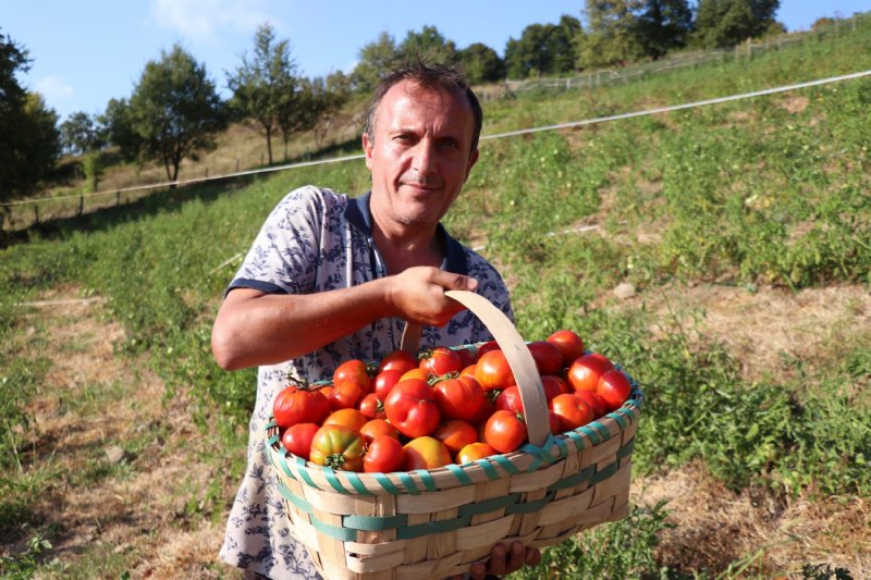 Burda olmaz denilen yerden, 20 ton ürün aldı - 4