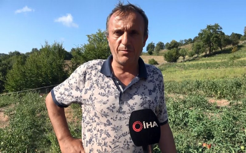 Burda olmaz denilen yerden, 20 ton ürün aldı - 1