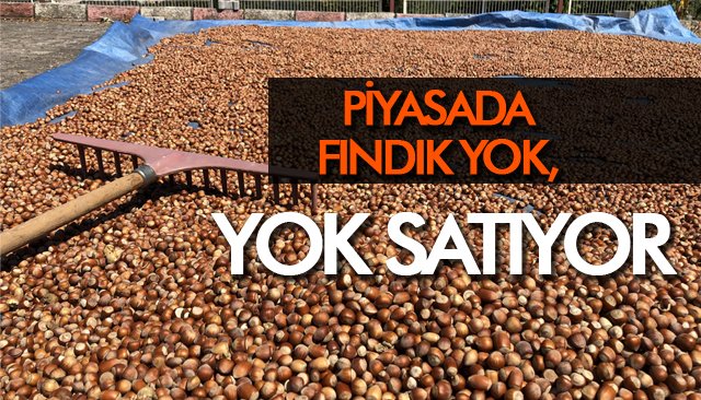 PİYASADA FINDIK YOK, YOK SATIYOR