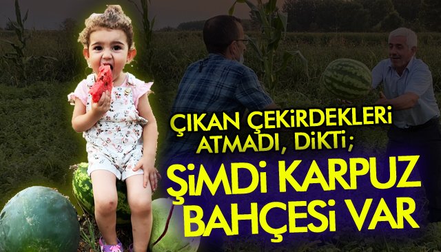 ŞİMDİ HASAT ZAMANI!