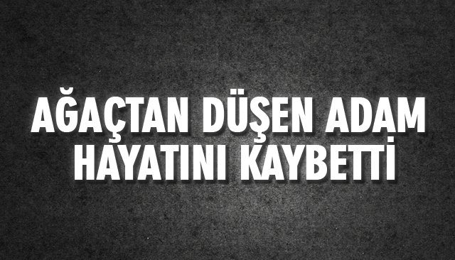 AĞAÇTAN DÜŞEN ADAM HAYATINI KAYBETTİ