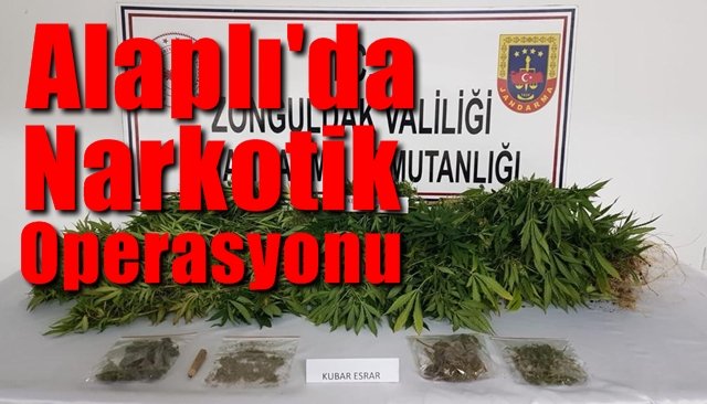 Alaplı’da Narkotik operasyonu… 1 GÖZALTI