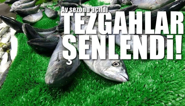 Av sezonu açıldı, tezgahlar şenlendi