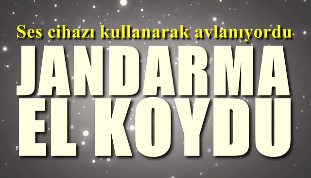 Kanun dışı yöntemle avcılık yapıyordu, Jandarma yakaladı...