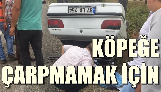 Köpeğe çarpmamak için ani manevra yapınca…