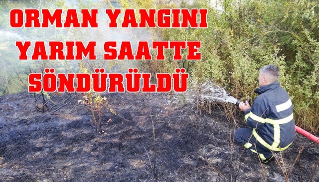  Ormanlık alanda çıkan yangın ekipleri harekete geçirdi