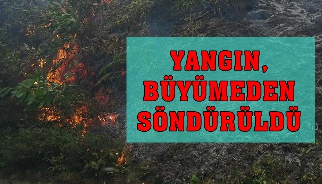 YANGIN, BÜYÜMEDEN SÖNDÜRÜLDÜ