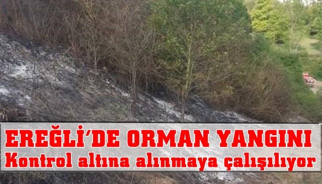 Yaraşlıyörük köyünde orman yangını çıktı