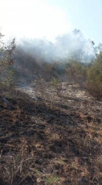 Yaraşlıyörük köyünde orman yangını çıktı - 2