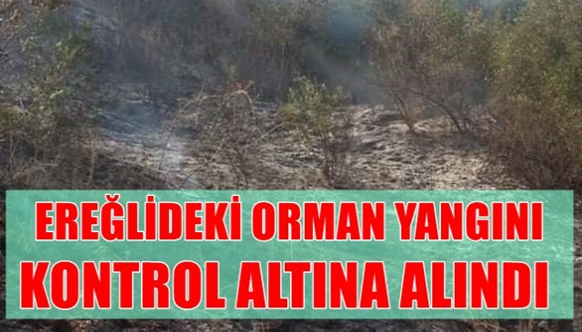 YARAŞLIYÖRÜK´TEKİ ORMAN YANGINI KONTROL ALTINA ALINDI