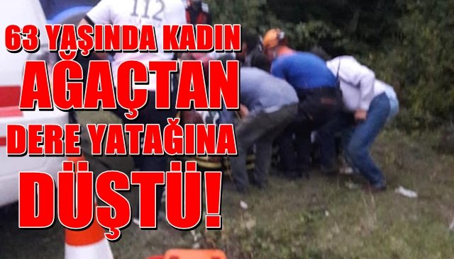 Yaşlı kadın, ağaçtan dere yatağına düştü... 