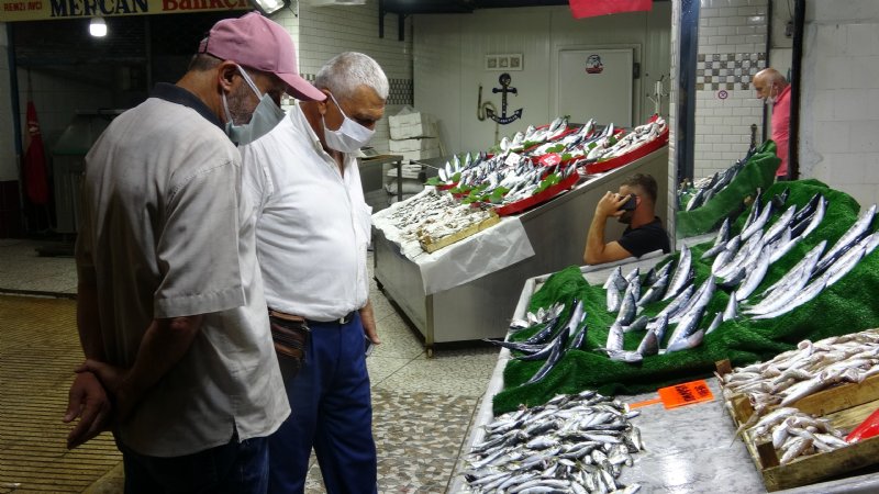  Zonguldak’ta palamut bolluğu - 2