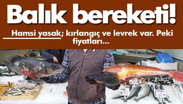 Akçakoca´da balık fiyatları