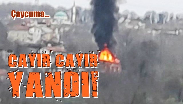 Çaycuma’da ev yangını 