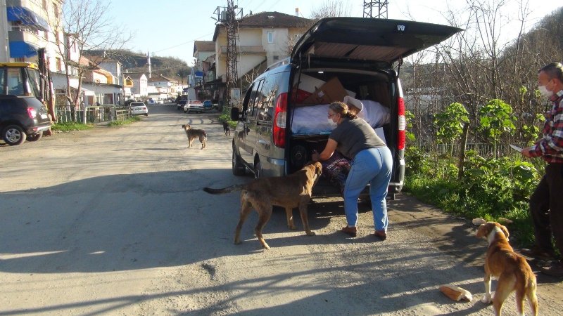 EMEKLİ OLDU, KENDİNİ HAYVANLARA ADADI - 7