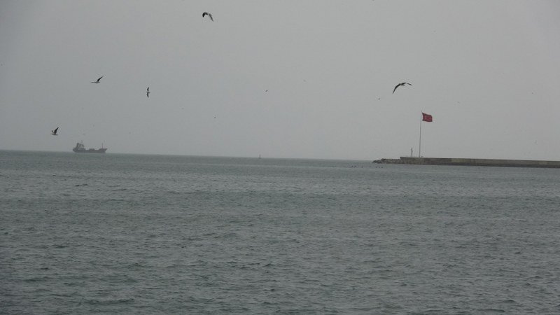 EREĞLİ´DE YAĞMUR VE RÜZGAR ETKİLİ OLDU - 2