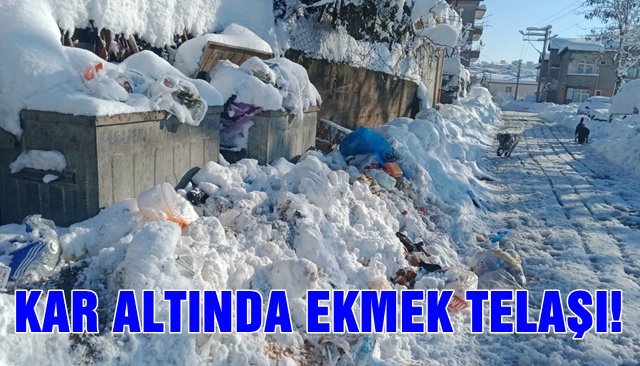 KAR ALTINDA EKMEK TELAŞI!