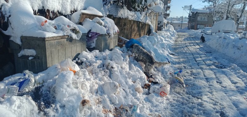 KAR ALTINDA EKMEK TELAŞI! - 1