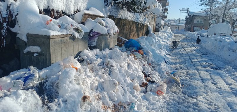 KAR ALTINDA EKMEK TELAŞI! - 2