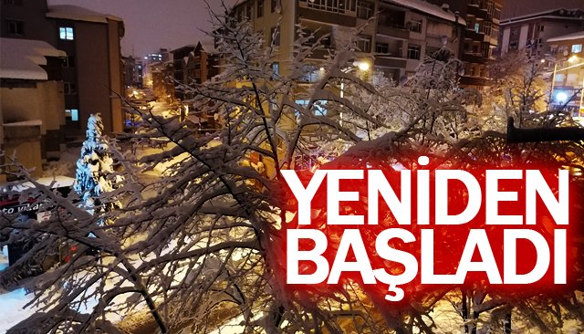 Kar yağışı yeniden başladı