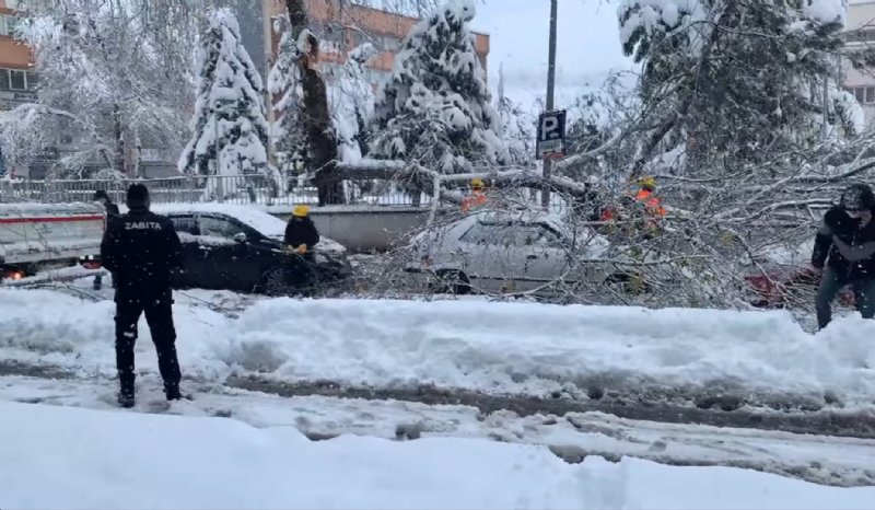 Kırılan dal, araçların üstüne düştü - 1