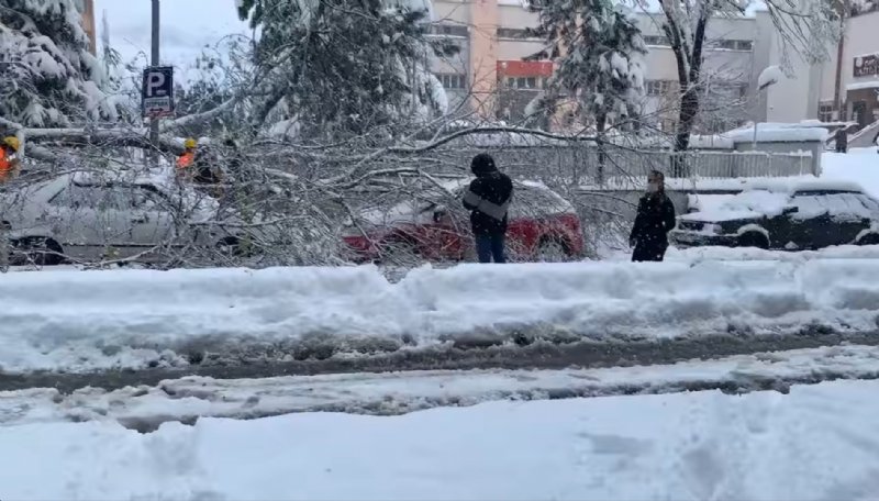 Kırılan dal, araçların üstüne düştü - 2