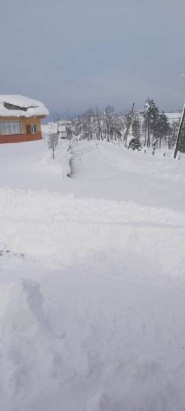 Ormanlı Belediyesi kar mücadelesini sürdürüyor - 3