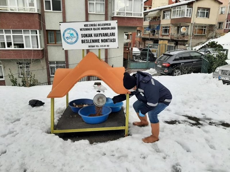 SİZDE KAPINIZIN ÖNÜNE KOYUN! - 3