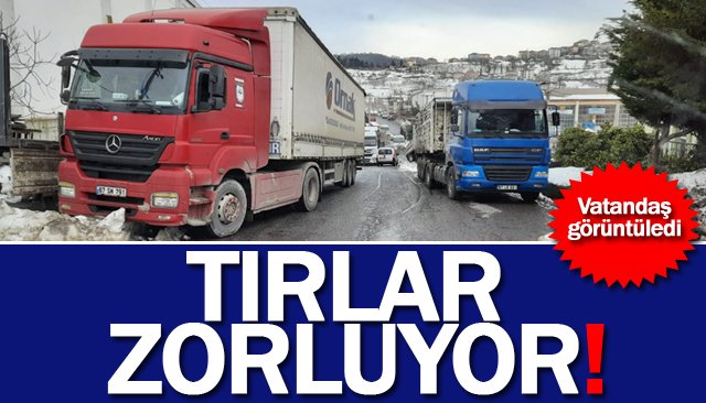 TIRLAR ZORLUYOR!