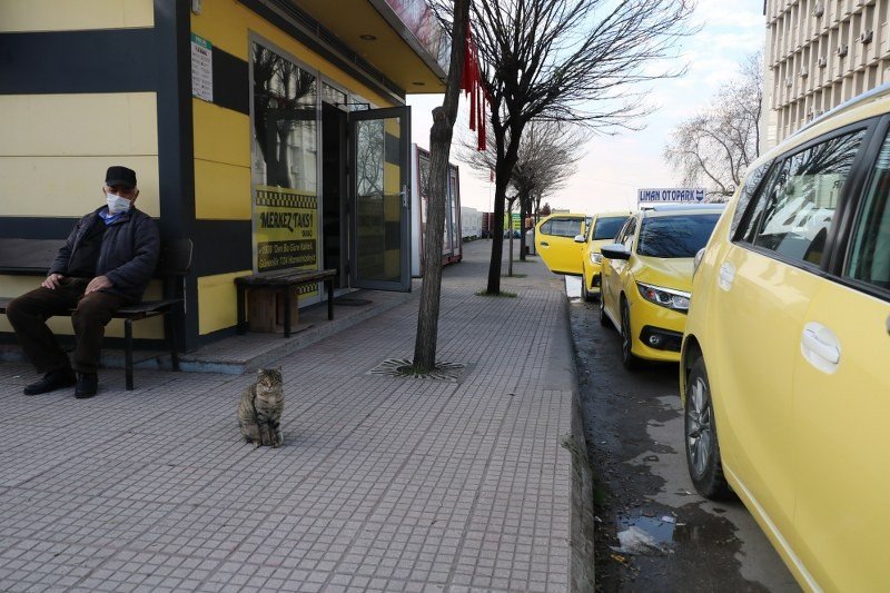 YARALI KEDİYE TAKSİCİLER SAHİP ÇIKTI  - 1