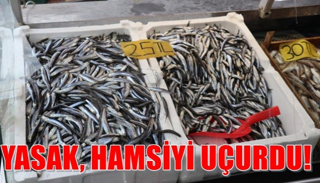 YASAK, HAMSİYİ UÇURDU!