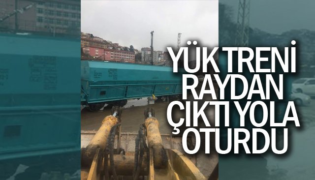 YÜK TRENİ RAYDAN ÇIKTI YOLA OTURDU