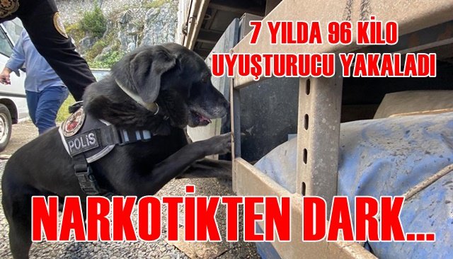 7 YILDA 96 KİLO UYUŞTURUCU YAKALADI