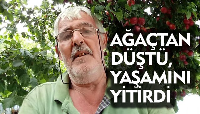 AĞAÇTAN DÜŞTÜ, YAŞAMINI YİTİRDİ