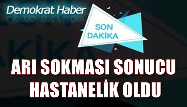 ARI SOKMASI SONUCU HASTANELİK OLDU