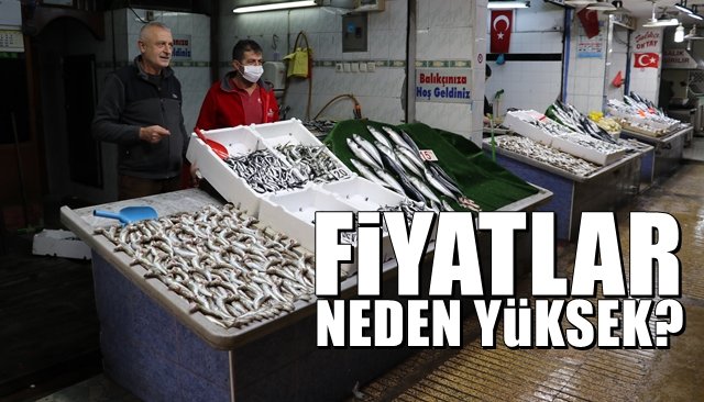 BALIKÇILAR BOŞ DÖNÜNCE FİYATLAR YÜKSELDİ