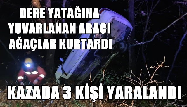 DERE YATAĞINA YUVARLANAN ARACI AĞAÇLAR KURTARDI